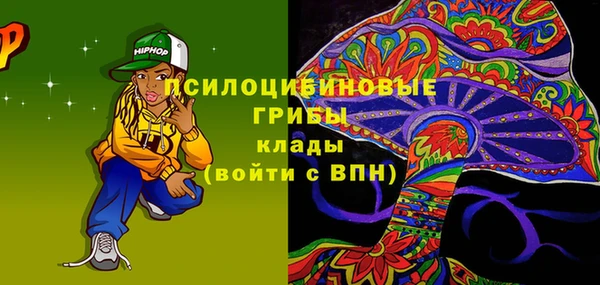 ПСИЛОЦИБИНОВЫЕ ГРИБЫ Михайловка