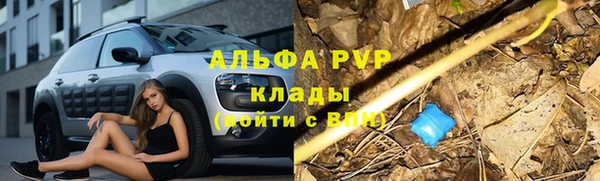 стаф Михайлов