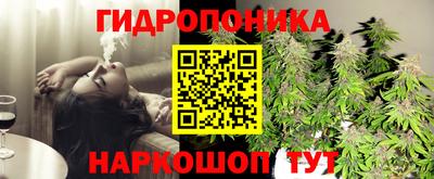 тгк Гатчина