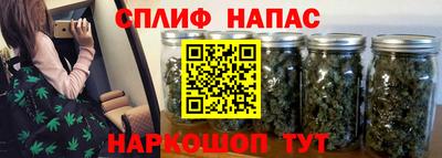 тгк Гатчина