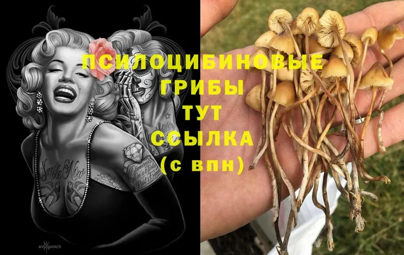 Галлюциногенные грибы Magic Shrooms Казань