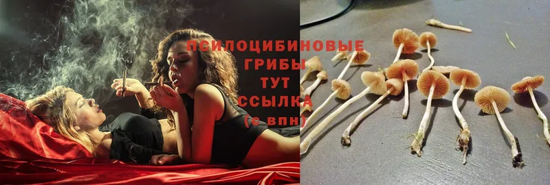 хочу наркоту  нарко площадка формула  Галлюциногенные грибы MAGIC MUSHROOMS  Казань 